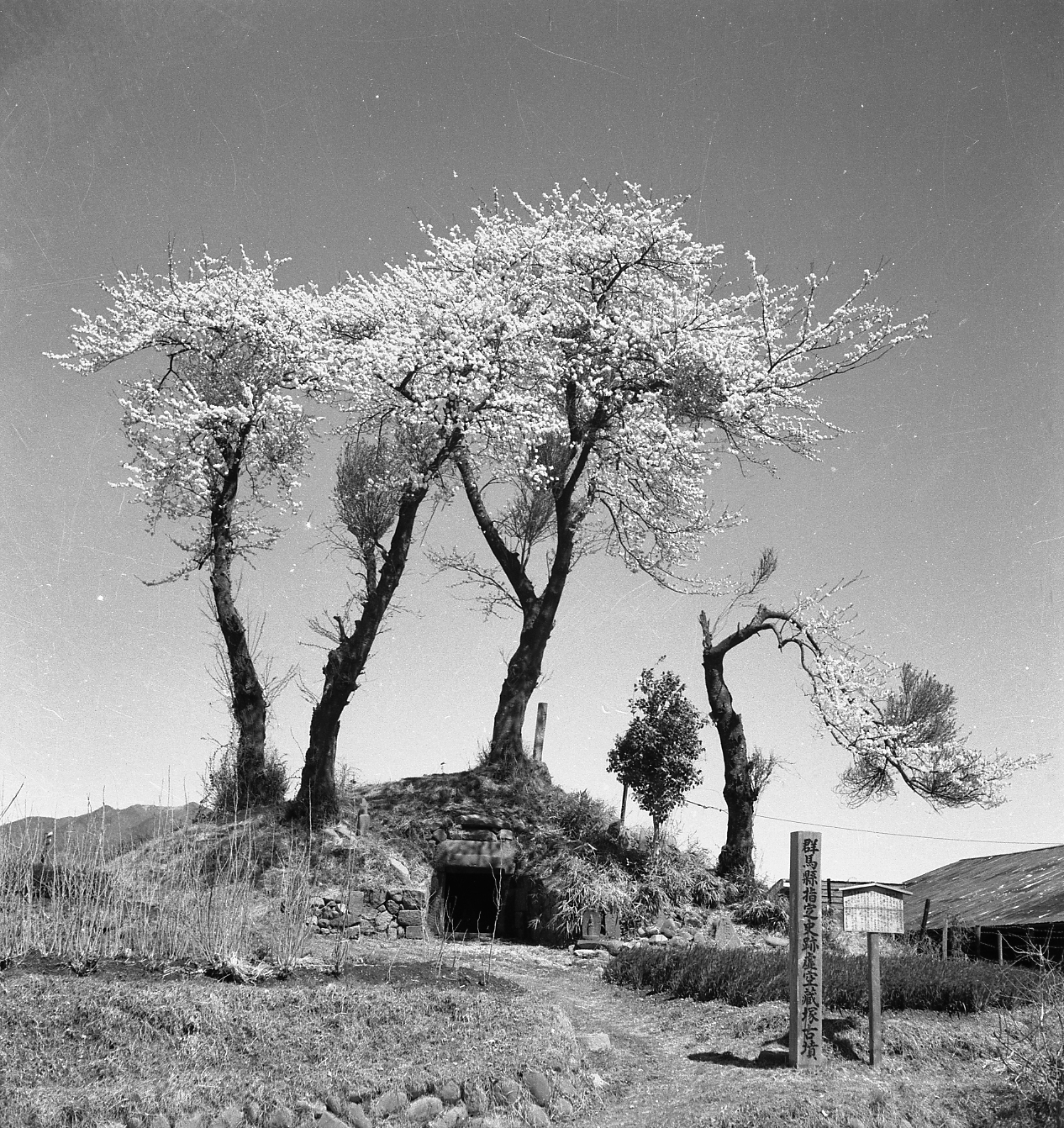 昭和30年頃の渋川 – 吉井写真館